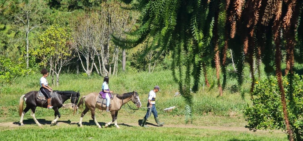 Hotel Fazenda Castelo Santa Clara ラブリニャス エクステリア 写真